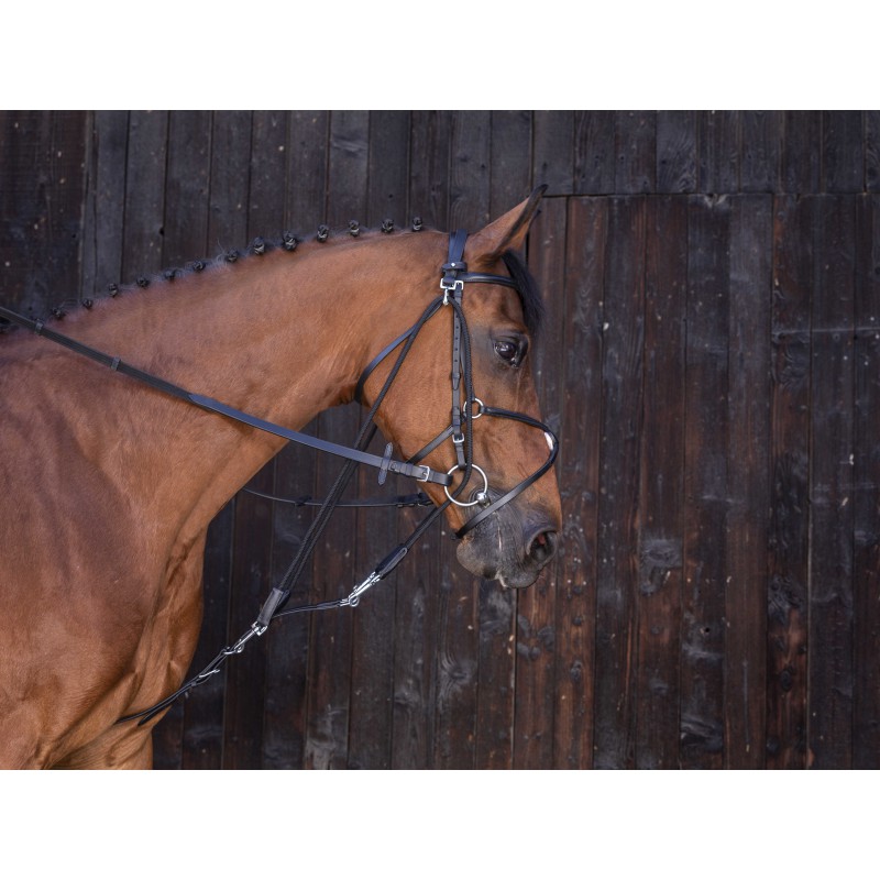 [306396318] Gogue à poulies RIDING WORLD (Havane, Cheval)