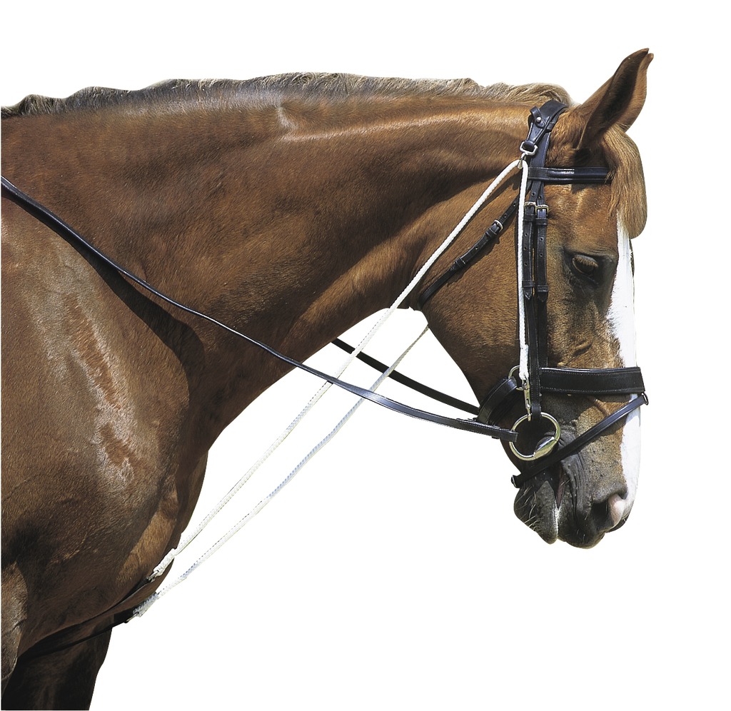 Chambon NORTON CLUB à poulies