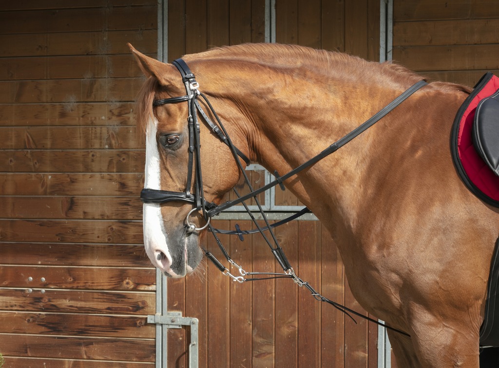 Gogue à poulies NORTON PRO