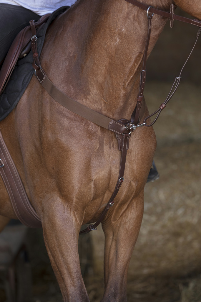 [306588318] Collier de chasse NORTON PRO - Élastique (Havane, Cheval)