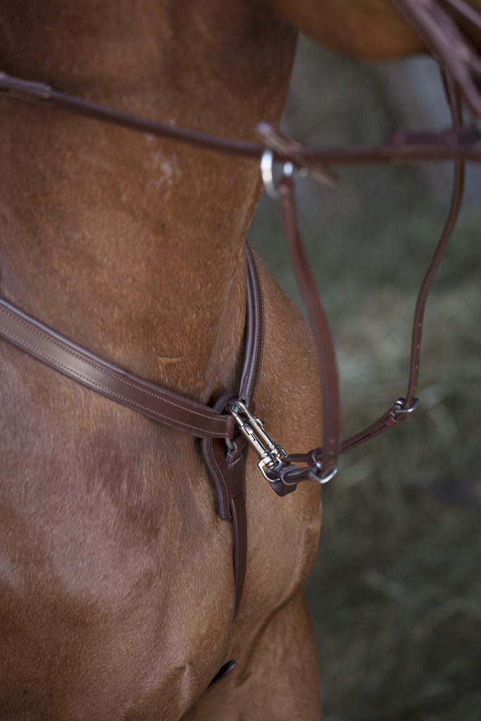 [306589318] Collier de chasse NORTON PRO (Havane, Cheval)