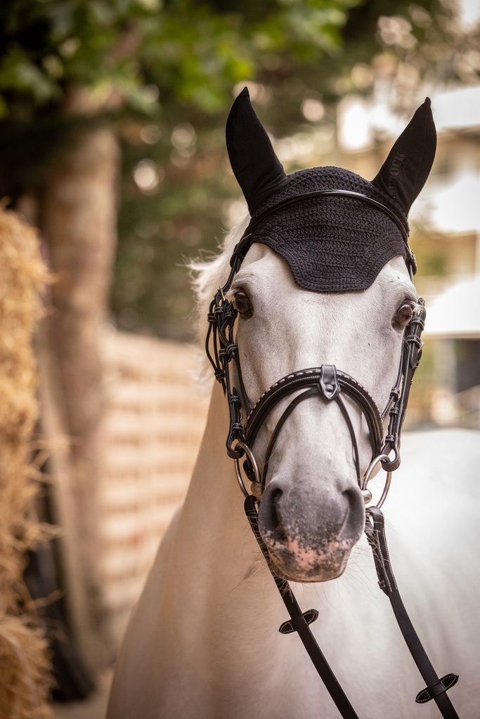 [306986007] Bonnet Pro Cotton - PADDOCK (Marine, Cheval)