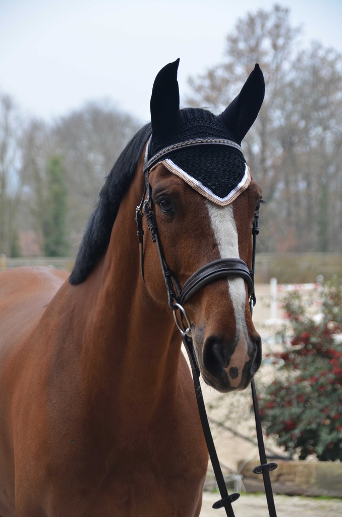 [306988040] Bonnet PADDOCK "Origine" (Bleu canard)