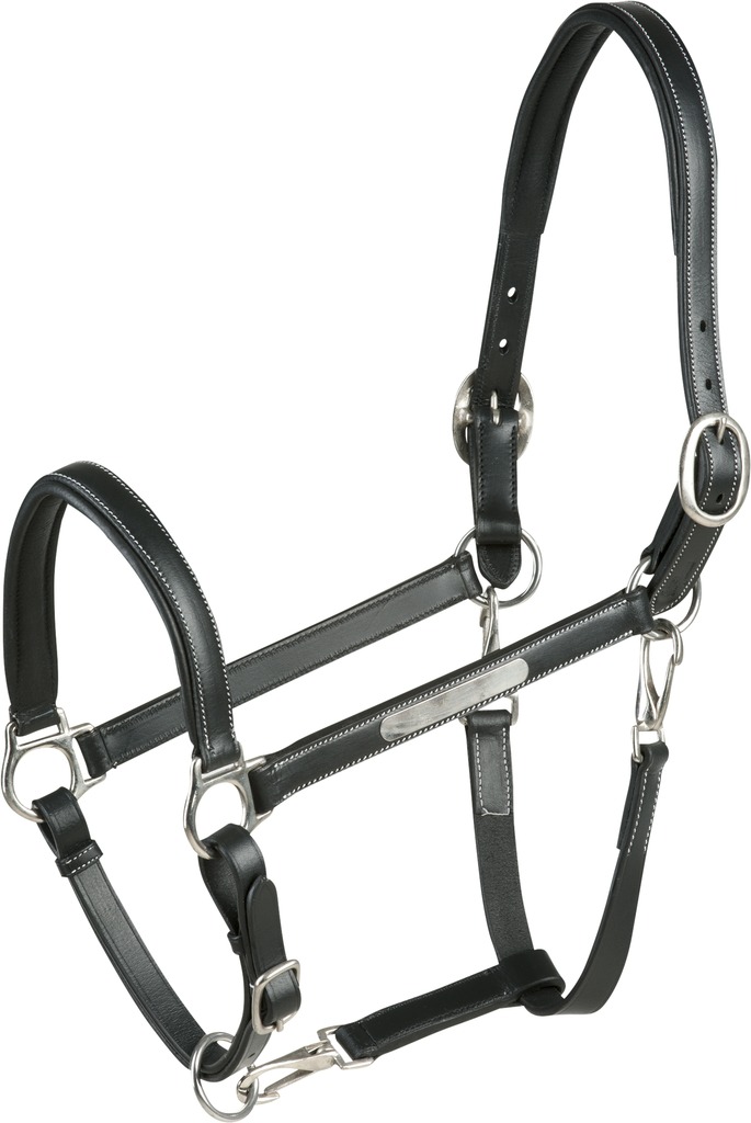 Leather grooming halter ERIC THOMAS “Pro”