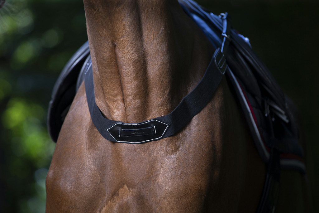 [307620018] Fausse bricole élastique ERIC THOMAS PRO (Havane)