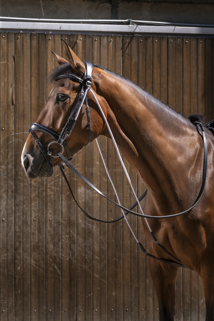 [307670018] Chambon ERIC THOMAS PRO (Havane)