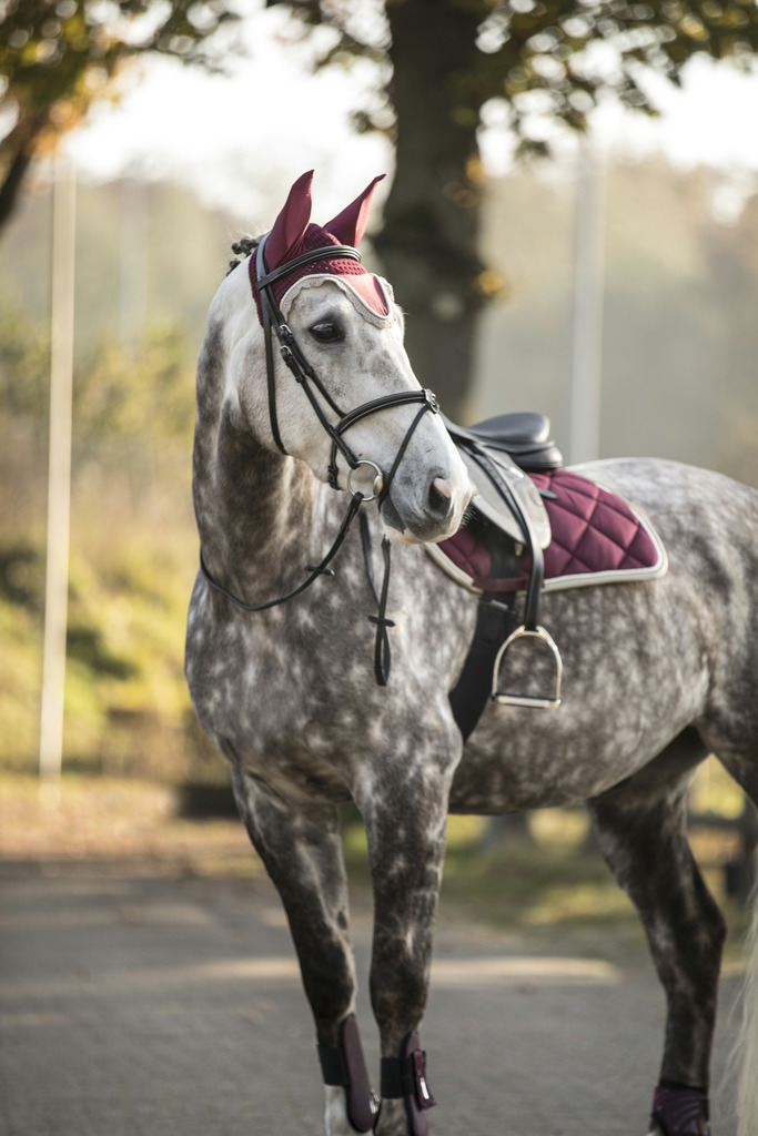 Bonnet chasse-mouches LAMI-CELL "Elegance"
