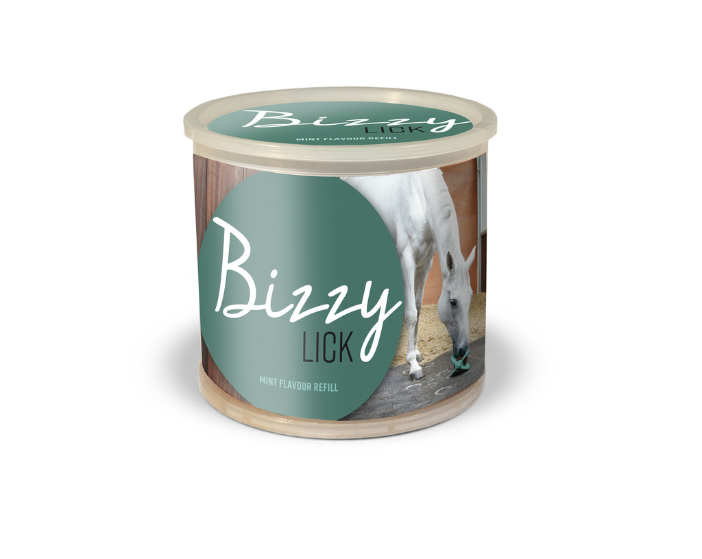[380010001] Pierre BIZZY HORSE "Bizzy Lick" (Ail)