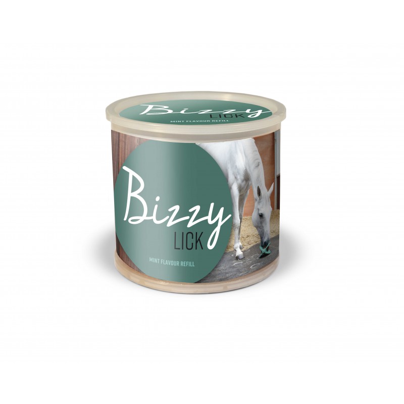 [380010001] Pierre BIZZY HORSE - Bizzy Lick (Ail)