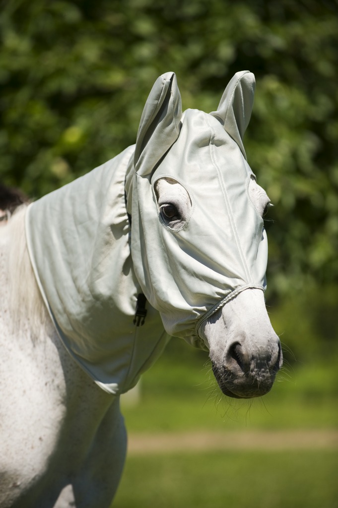 Bonnet EQUITHÈME "Anti-eczéma"