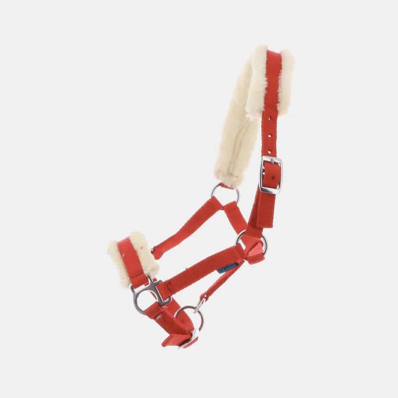 [510021003] Licol foal NORTON "Mouton synthétique doux" (Rouge)