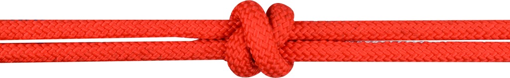 Licol éthologique NORTON avec rênes