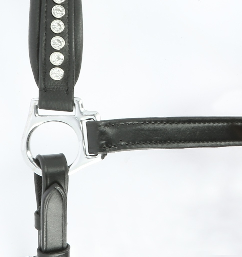 Licol cuir NORTON PRO "Strass"