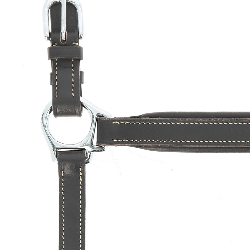 Licol cuir NORTON PRO - Grooming