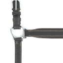 Licol cuir NORTON PRO - Grooming
