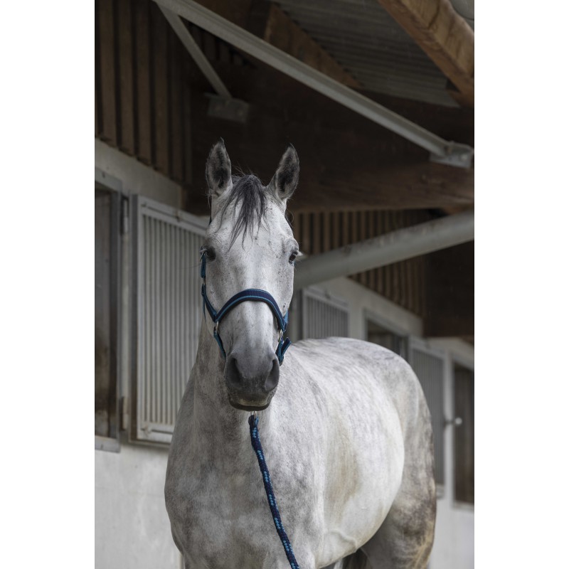 [510605127] Licol + longe EQUITHÈME - Satiné (Marine/Bleu ciel, Cheval)
