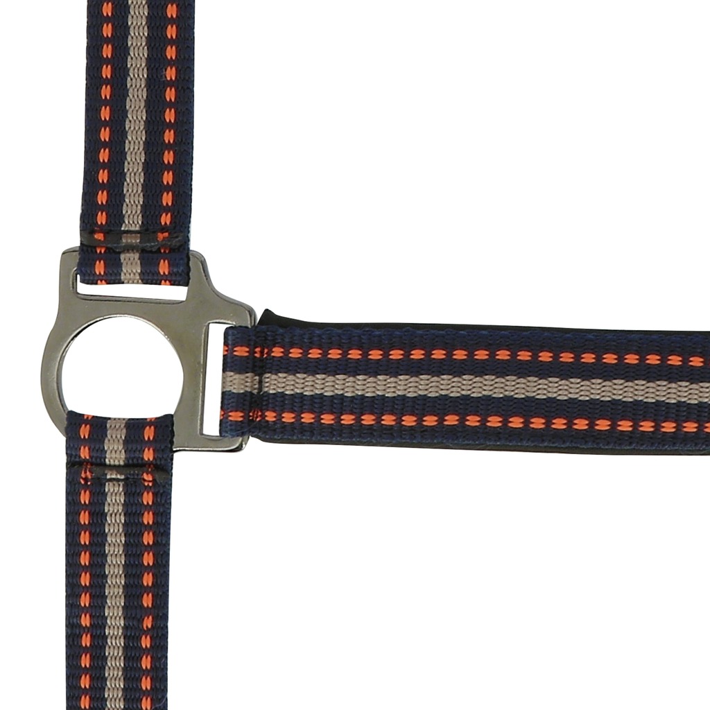 [510631311] Licol NORTON "Bouclerie noire" (Gris, Cheval)