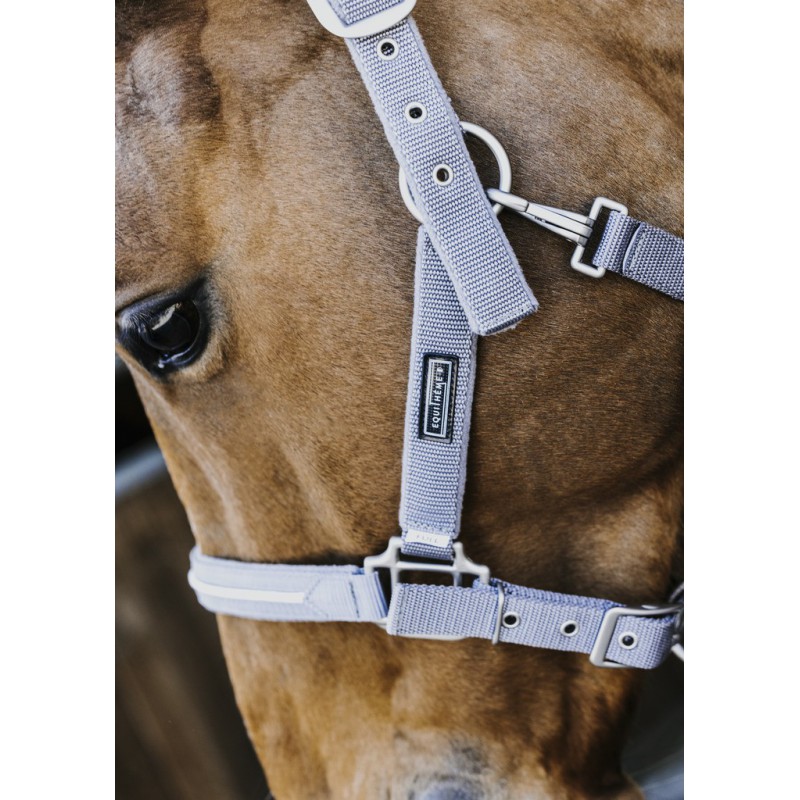 [510885011] Licol + longe EQUITHÈME "French Touch"