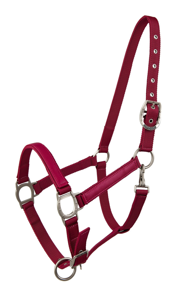 [555008306] Licol LAMI-CELL "LC" (Bleu attol, Cheval)