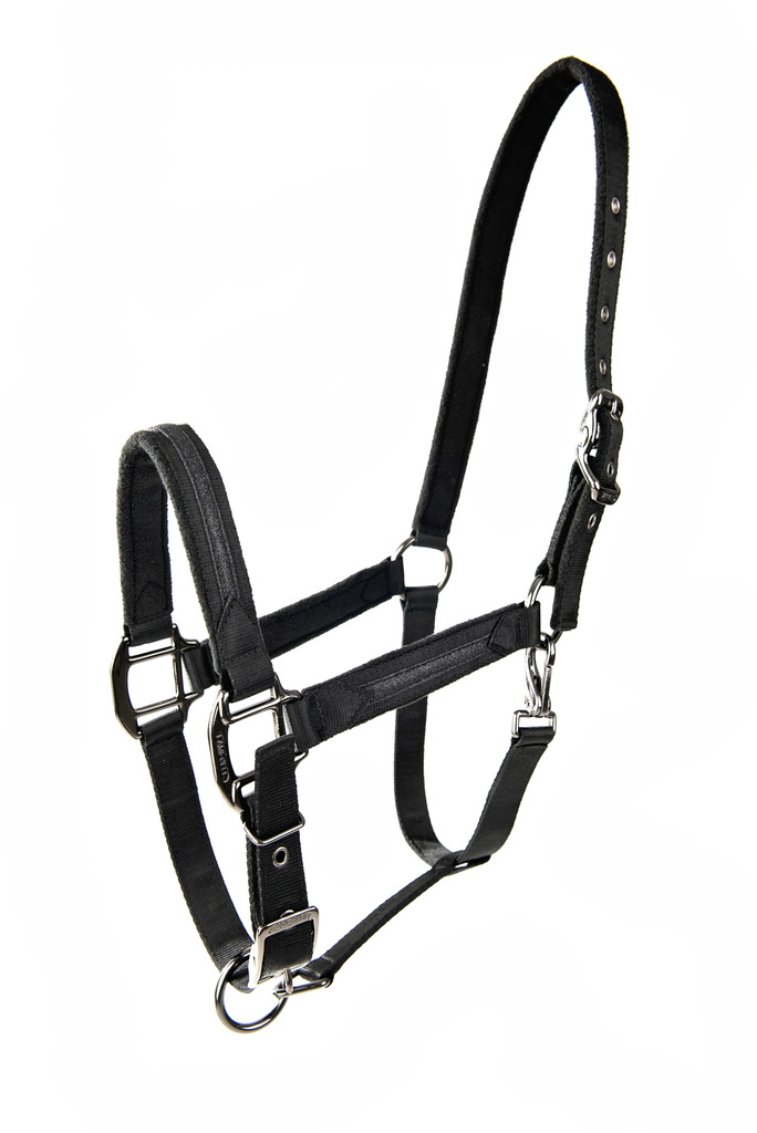 Licol LAMI-CELL "Sparkling"