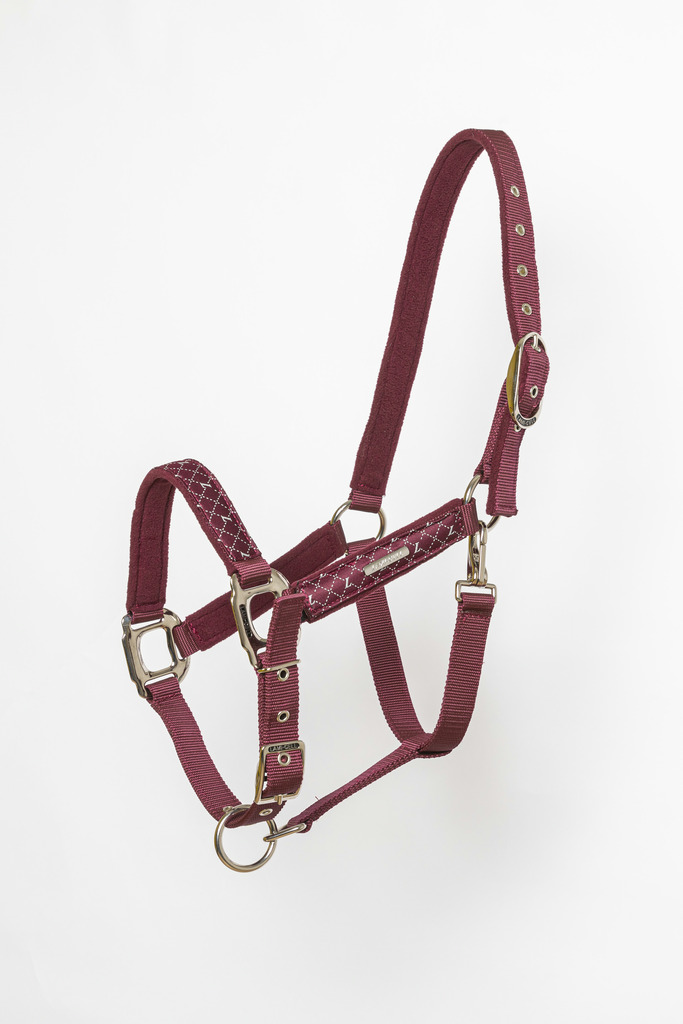 [555016333] Licol LAMI-CELL "Venus" (Bordeaux, Cheval)