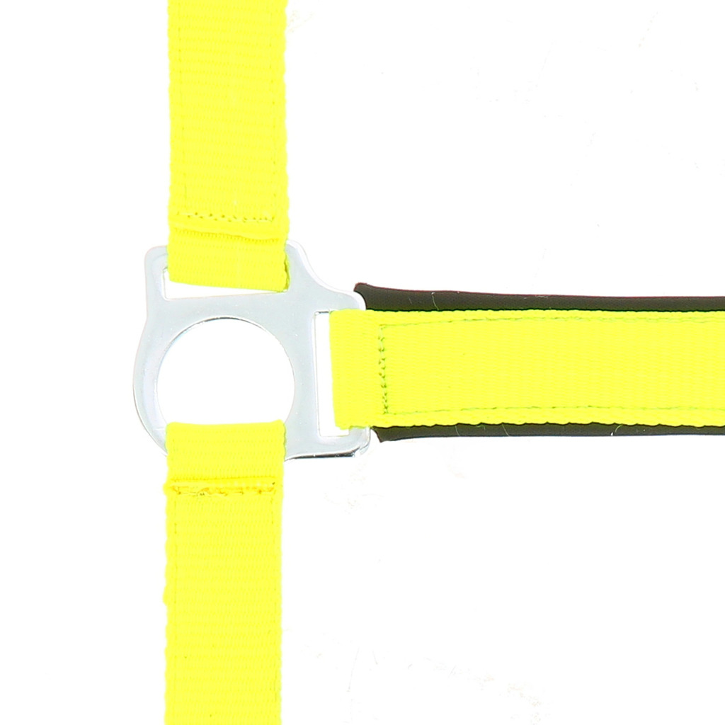 Licol NORTON "Fluo" doublé