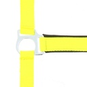 Licol NORTON "Fluo" doublé