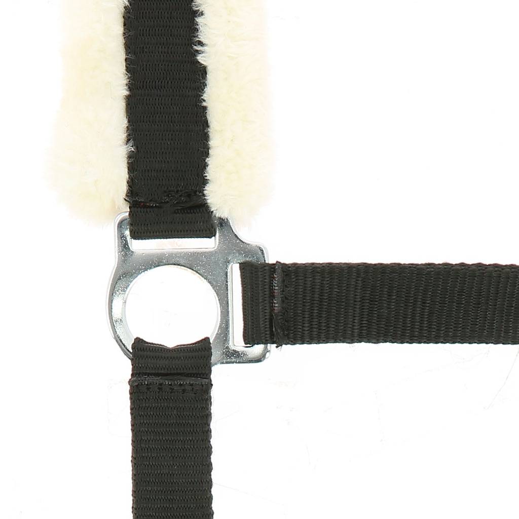 [510014306] Licol NORTON "Mouton synthétique doux" (Bleu roi, Cheval)