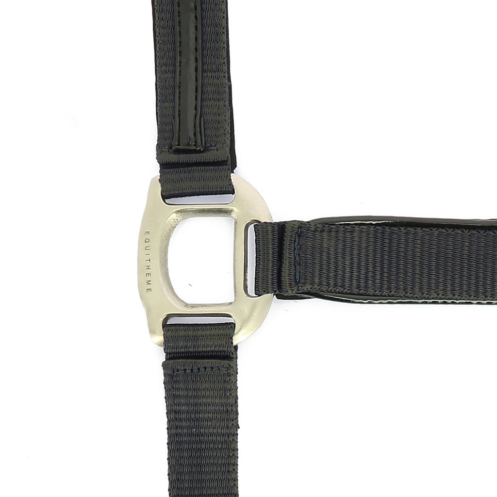 Licol EQUITHÈME "Tendance" (Brun, Cheval)