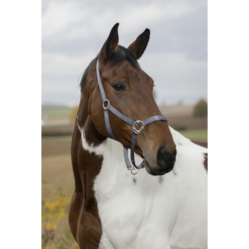 [510100006] Licol EQUITHÈME “Nylon” (Bleu roi, Cheval)