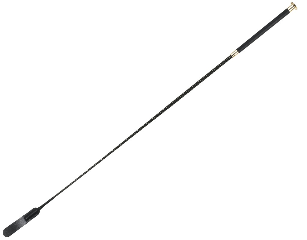 Cravache de dressage WHIP & GO "Claquette"