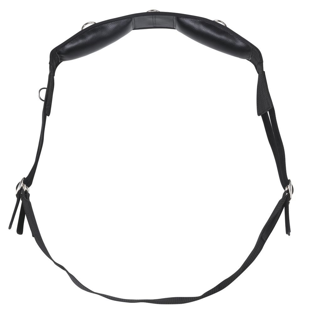 [401031107] Surfaix de travail NORTON synthétique (Turquoise/Marine/Ciel, Poney)