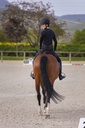 Casque EQUITHÈME "Compet"