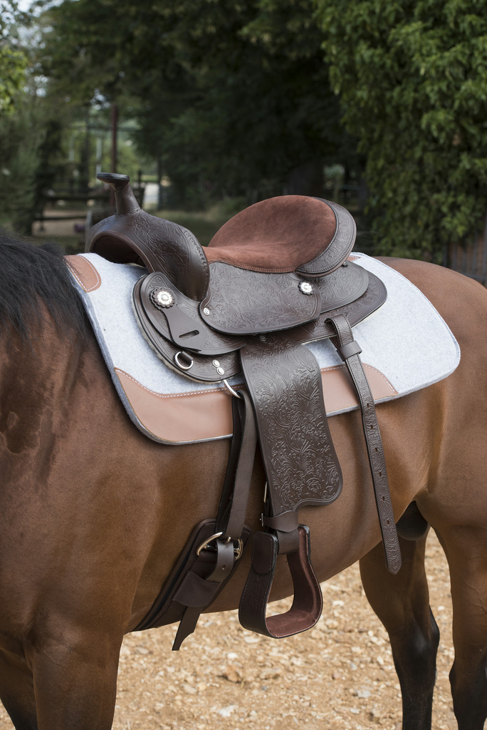 Pad WESTRIDE feutre 16 mm