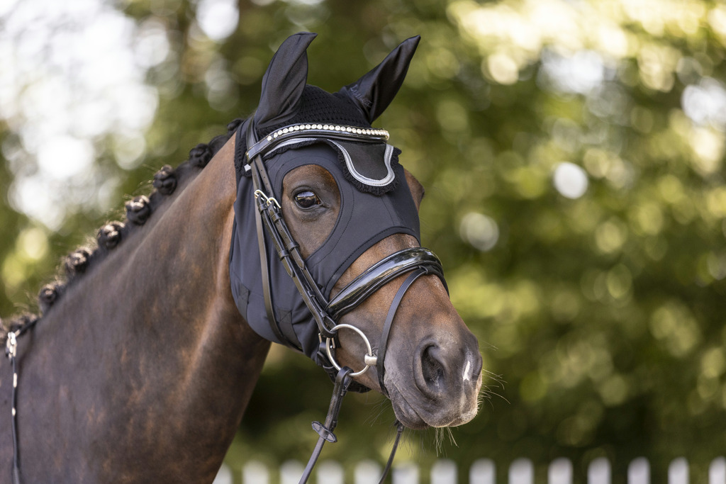 [320028302] Masque LAMI-CELL "Titanium" (Cheval)