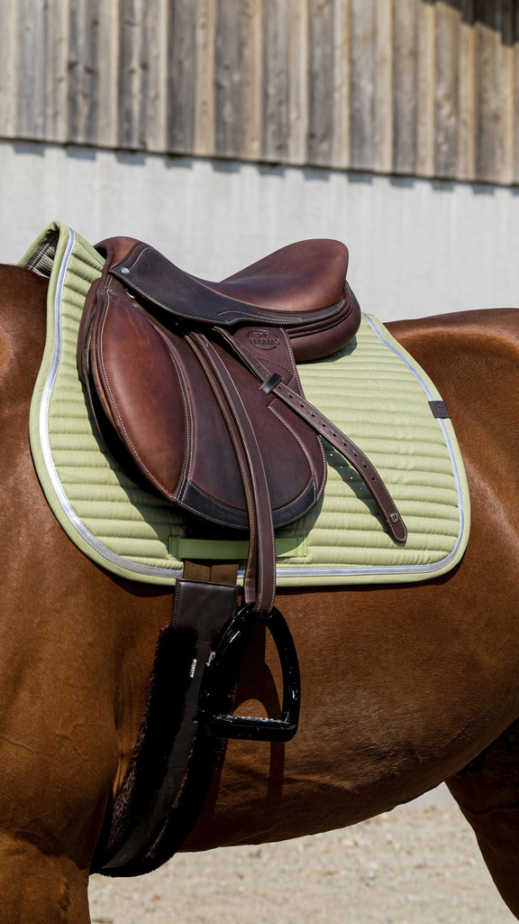 EQUITHEME mixed saddle pad - Spring