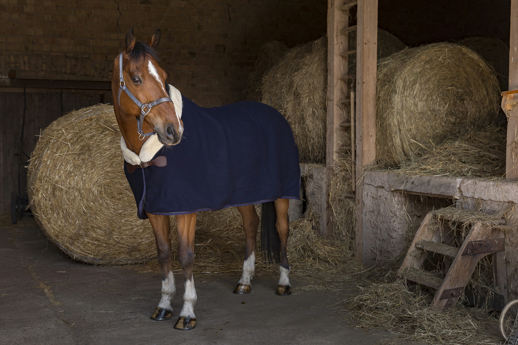 Couverture laine EQUITHÈME "Teddy"