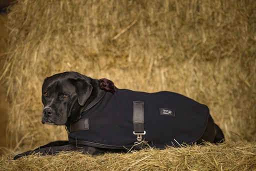 Couverture polaire DIEGO & LOUNA "Teddy" (Bordeaux)