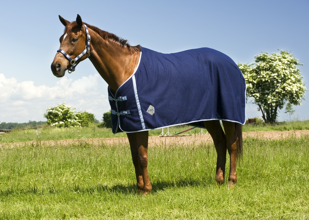 Chemise polaire RIDING WORLD, sursangles croisées