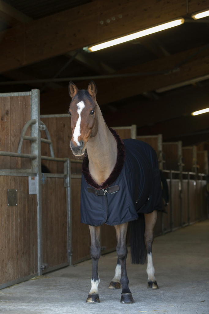 Chemise séchante EQUITHÈME "Teddy" (Bordeaux/Ecru)