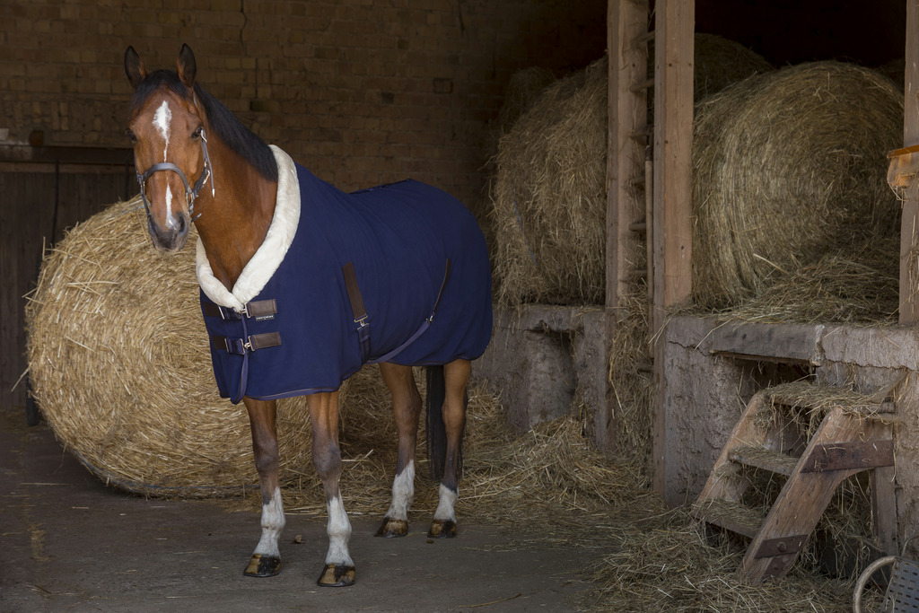 Chemise polaire EQUITHÈME "Teddy"