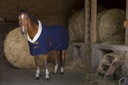 Chemise polaire EQUITHÈME "Teddy"
