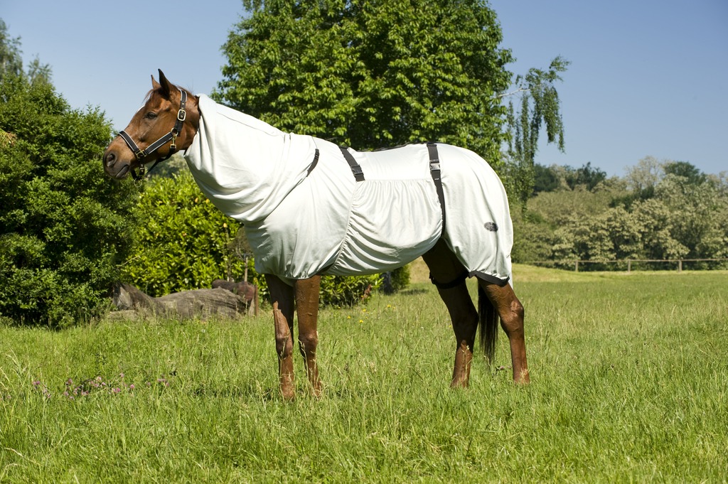Chemise EQUITHÈME "Anti-eczéma" (Brun)