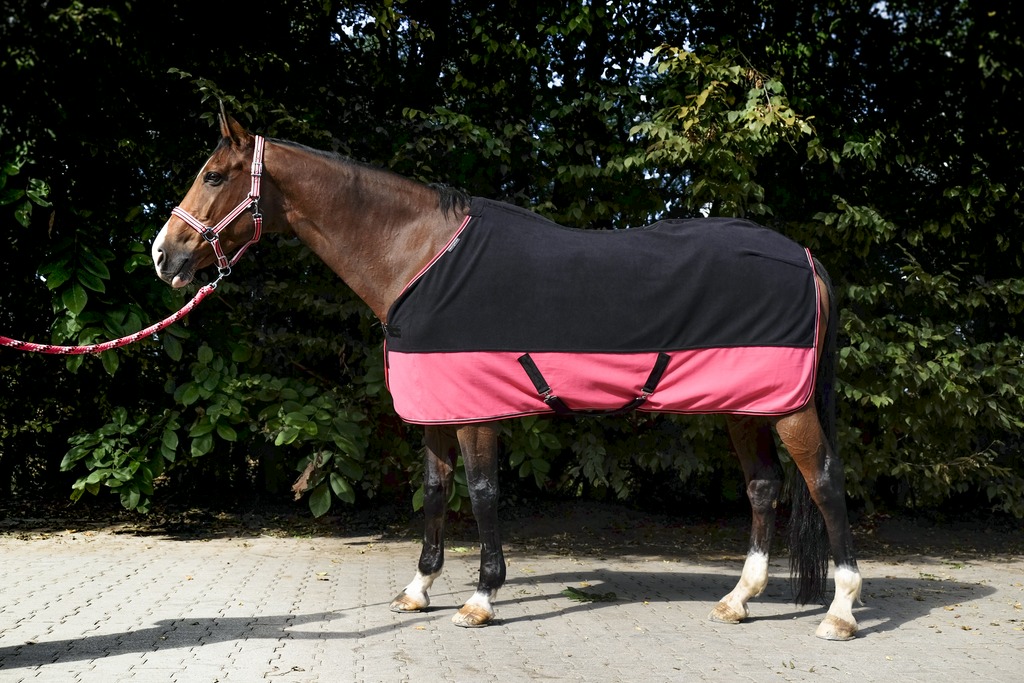 Chemise polaire EQUITHÈME