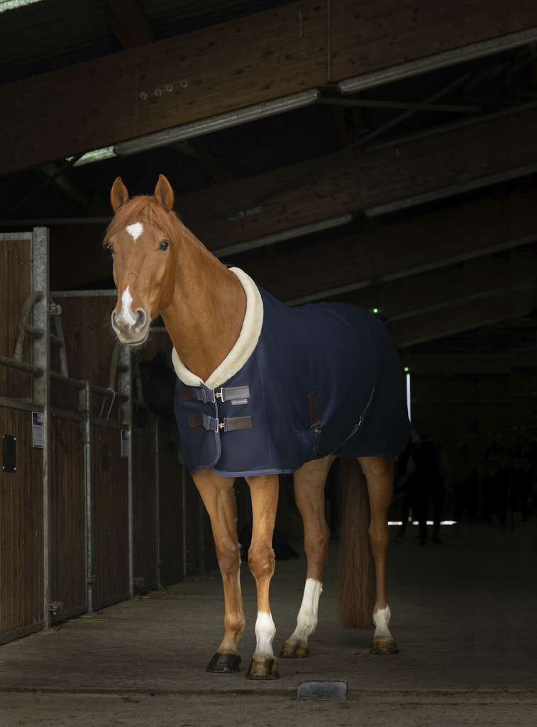 Chemise mesh EQUITHÈME "Teddy"