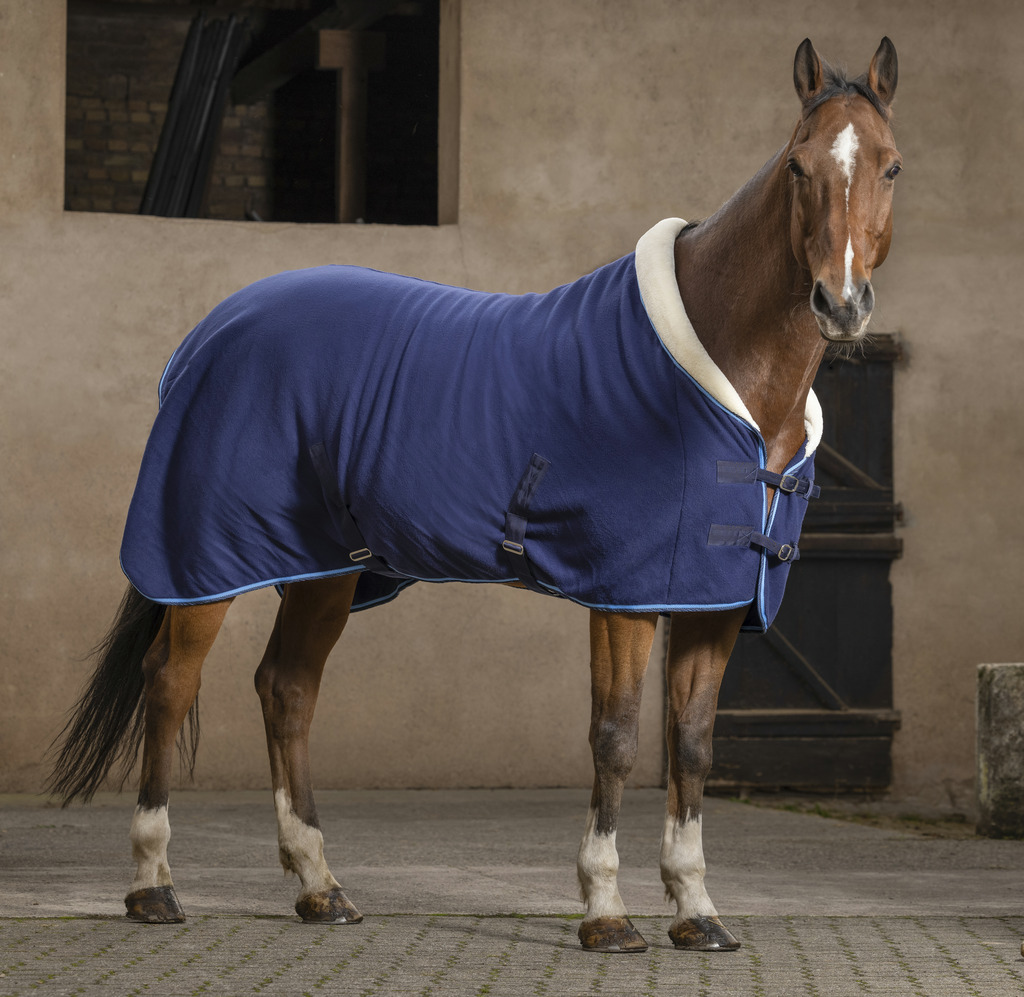 Chemise RIDING WORLD "Confort"