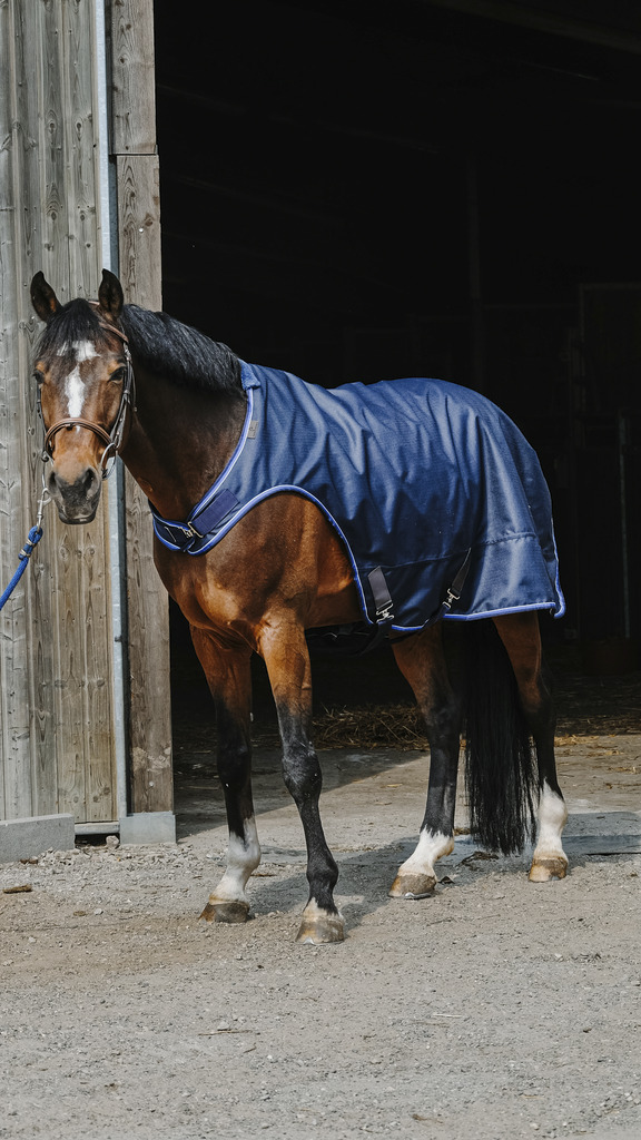 Chemise marcheur EQUITHÈME "Classic 1200D"