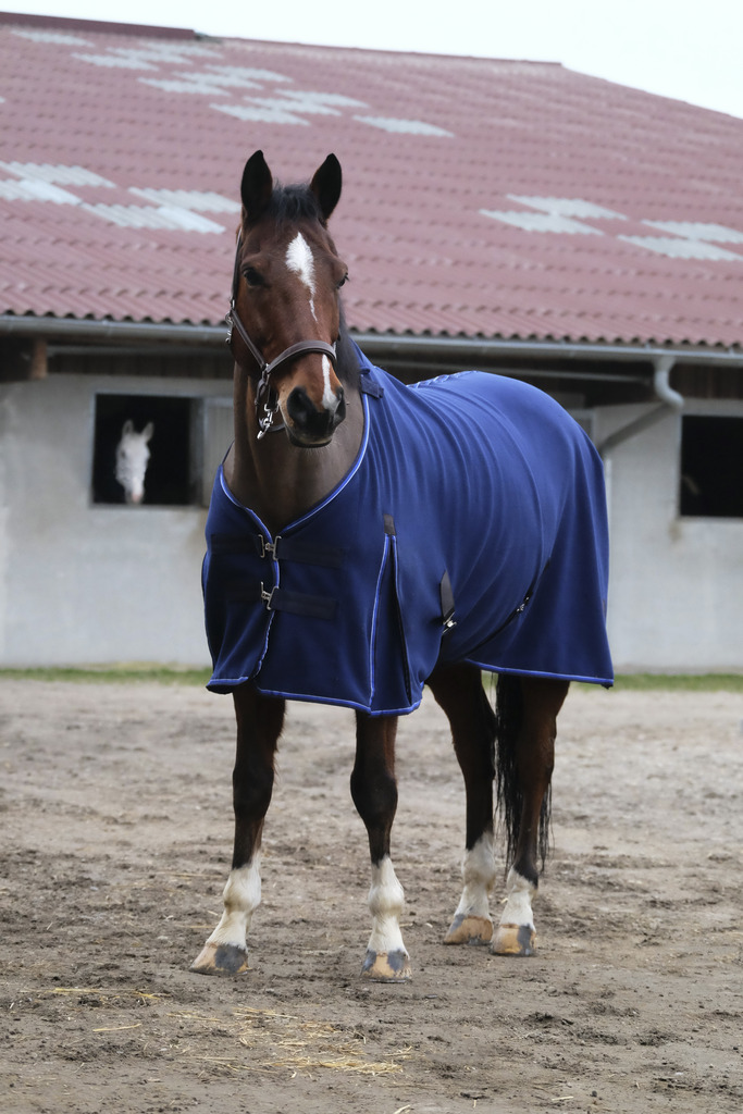 Chemise polaire EQUITHÈME "Classic"