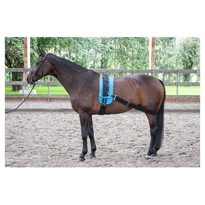 [8714813525842] Sangle élastique pour cheval