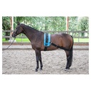 Sangle élastique pour cheval